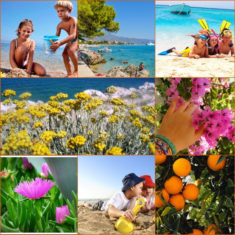 Holiday Home Mirela Orebić Εξωτερικό φωτογραφία
