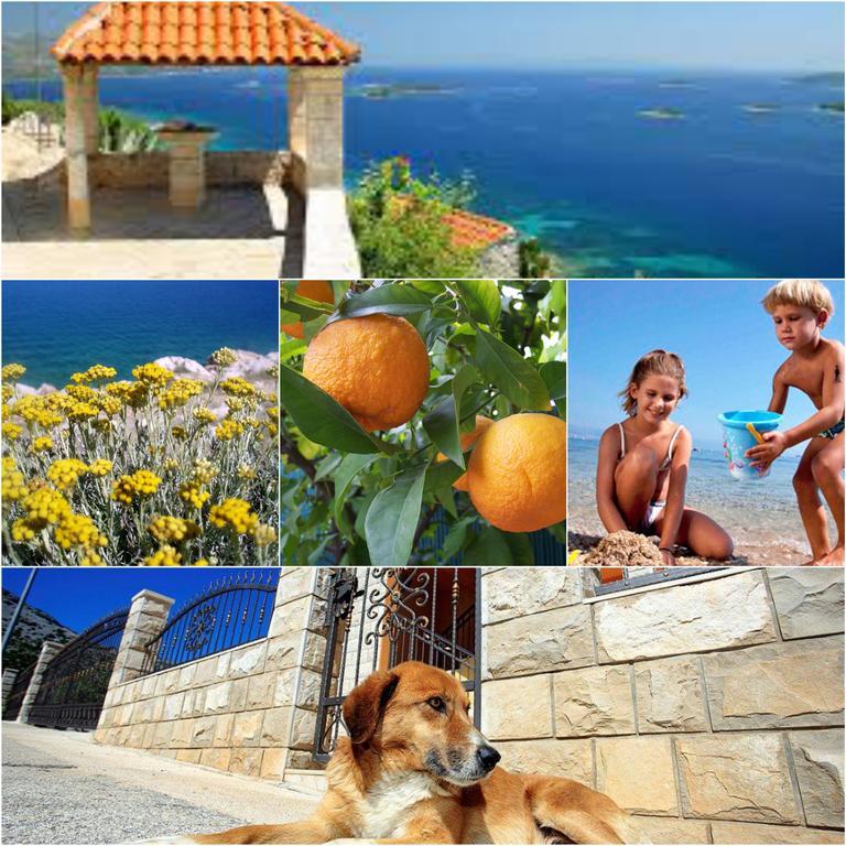 Holiday Home Mirela Orebić Εξωτερικό φωτογραφία